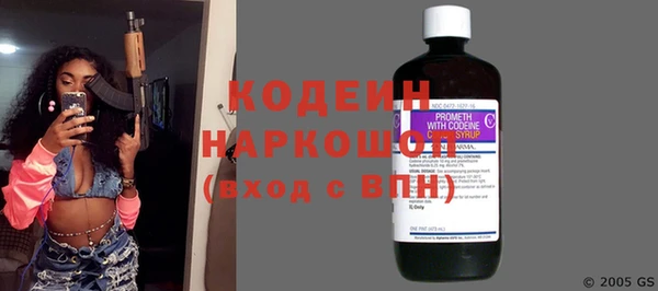 прущие грибы Пересвет
