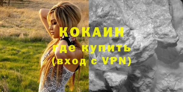 прущие грибы Пересвет