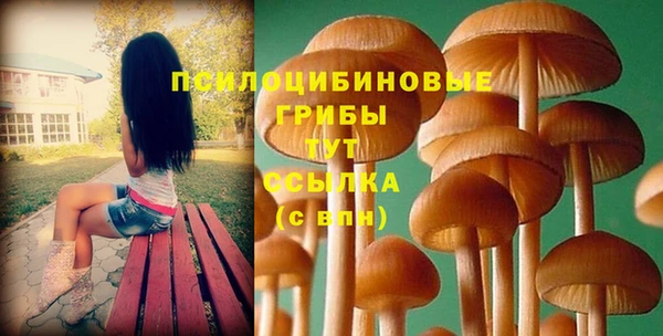 прущие грибы Пересвет