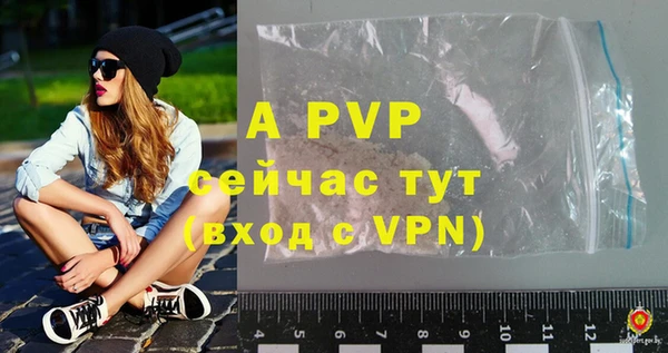 прущие грибы Пересвет