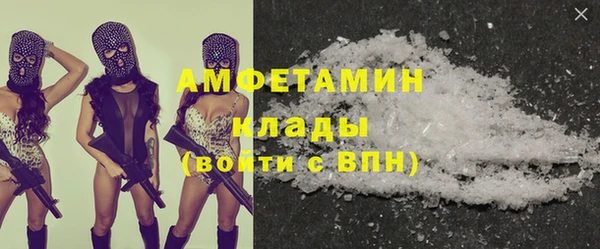 прущие грибы Пересвет