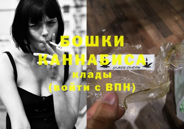 прущие грибы Пересвет