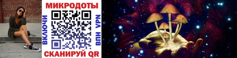 Галлюциногенные грибы Psilocybe  это формула  Котельнич 